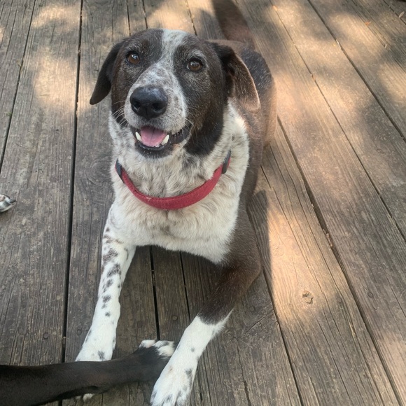 Meet your Posher, Christine - Picture 9 of 9